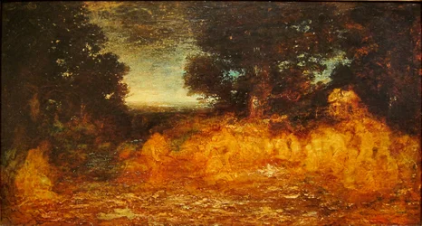 Unknown Image